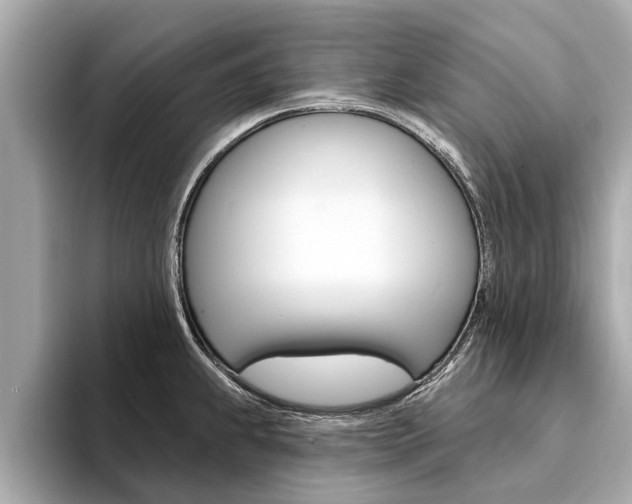 X0000094331239200711021125