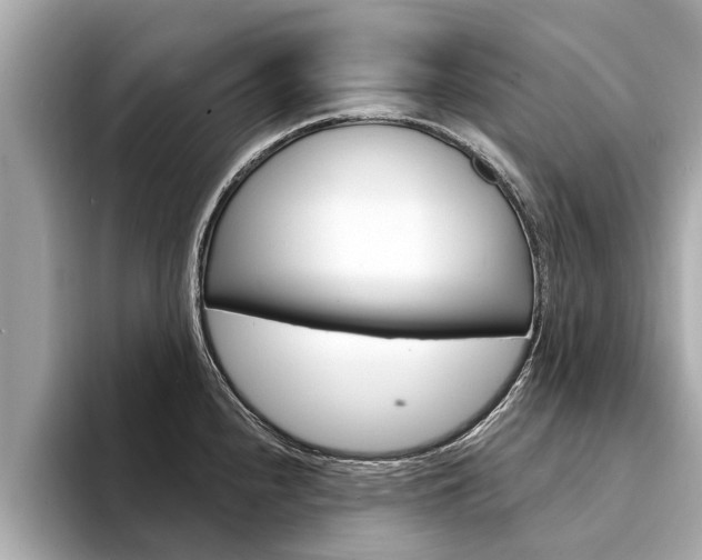 X0000094331240200711021125