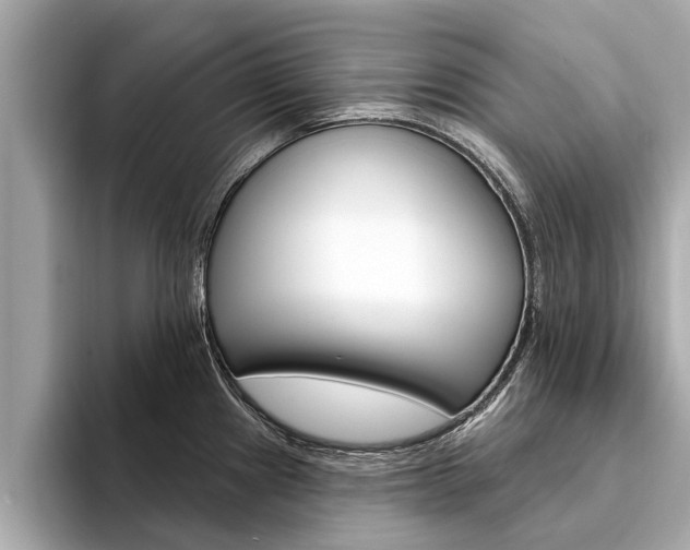 X0000094331241200711021125