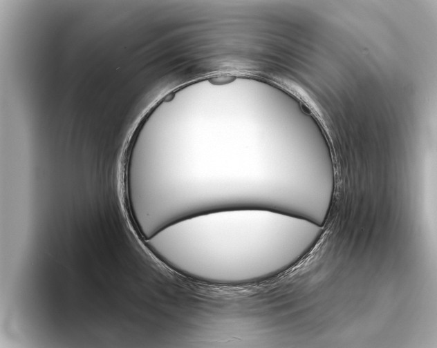 X0000094331243200711021125