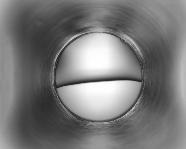 X0000094331244200711021125