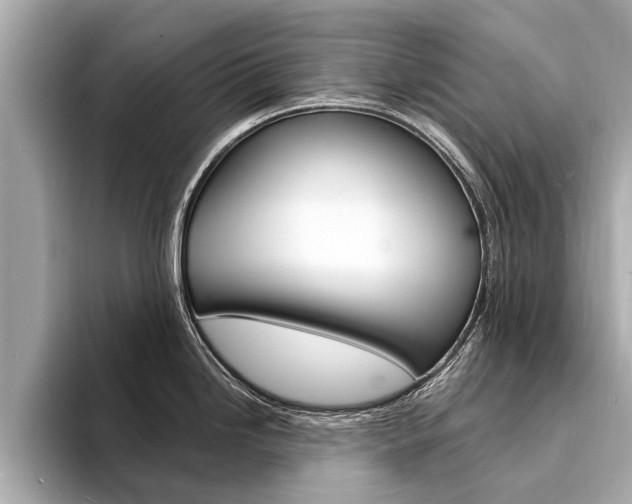 X0000094331246200711021125
