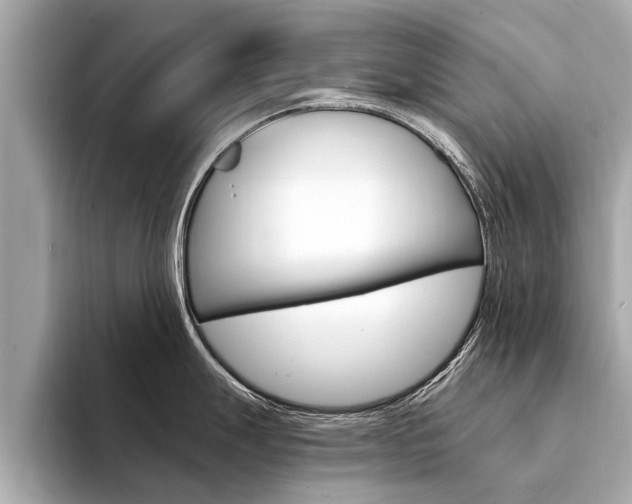 X0000094331247200711021125