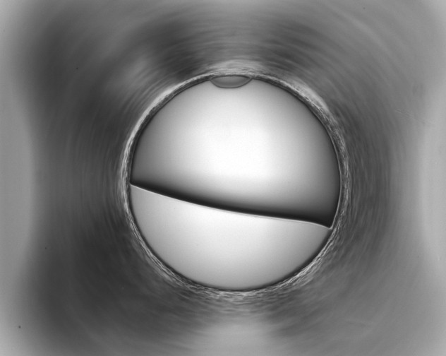X0000094331248200711021125