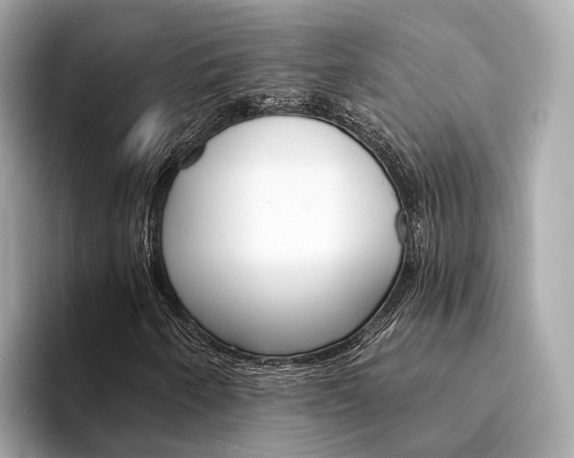 X0000094331250200711021125