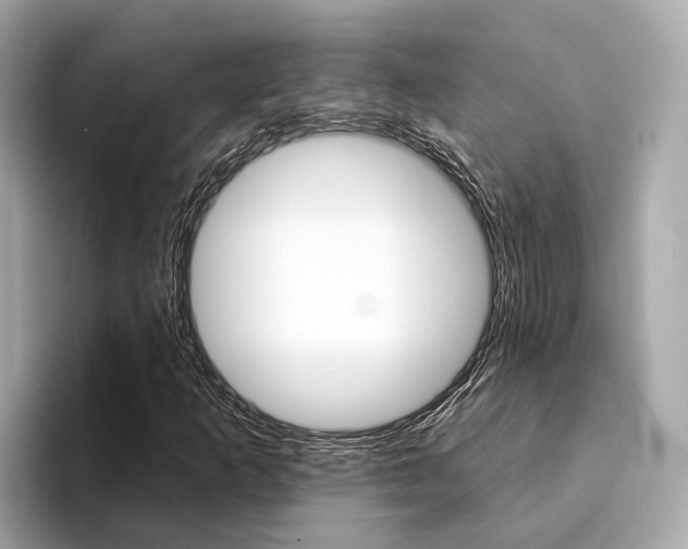 X0000094331253200711021125