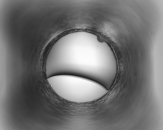 X0000094331256200711021125