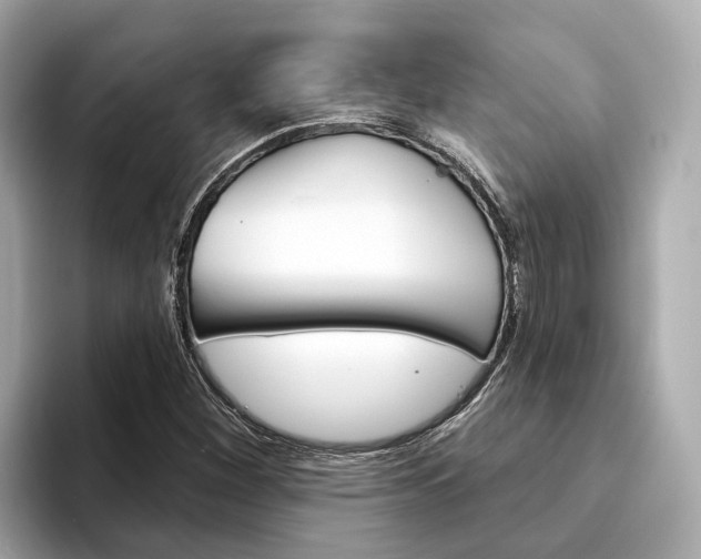 X0000094331260200711021125