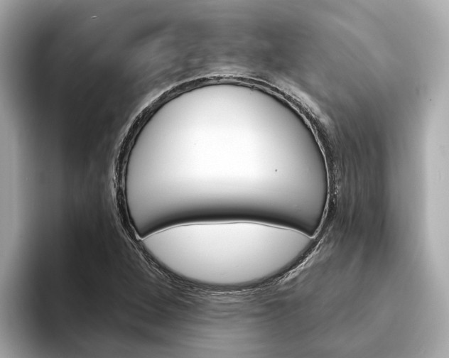 X0000094331264200711021124