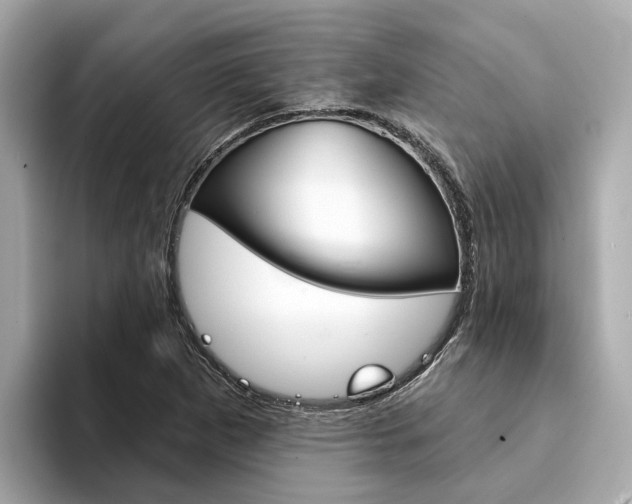 X0000094331265200711021124