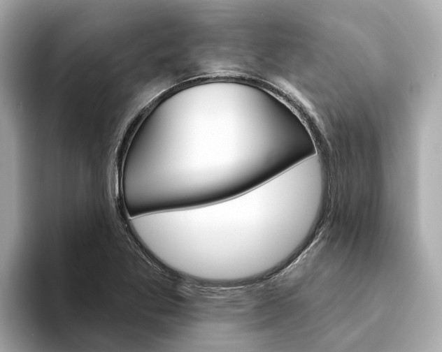 X0000094331269200711021124