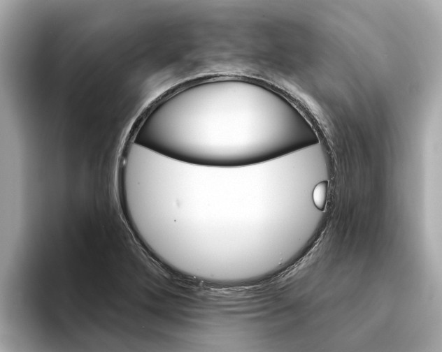 X0000094331272200711021124