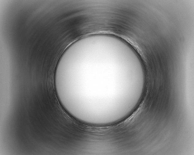 X0000094331273200711021124
