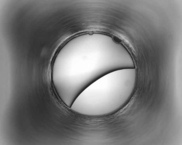 X0000094331275200711021124