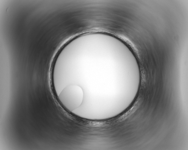 X0000094331278200711021124