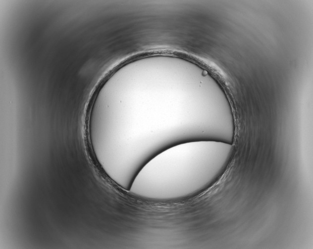 X0000094331279200711021124