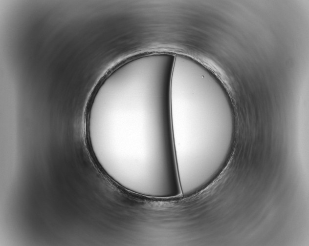 X0000094331280200711021124