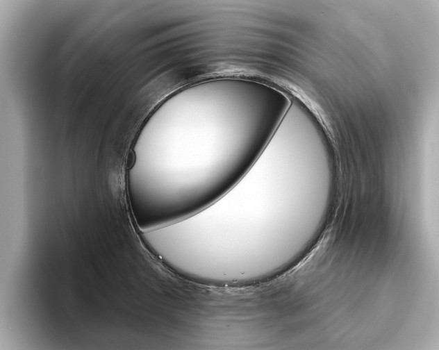 X0000094331281200711021124
