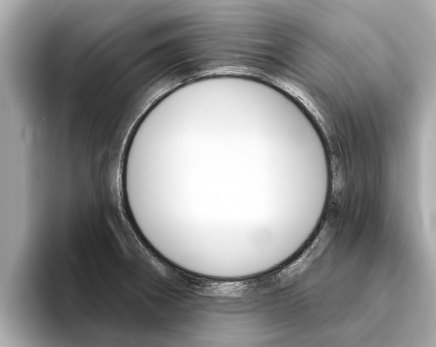 X0000094331282200711021124