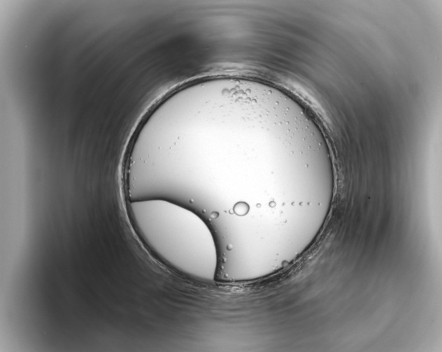 X0000094331283200711021124