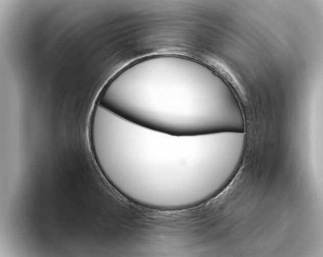 X0000094331284200711021124