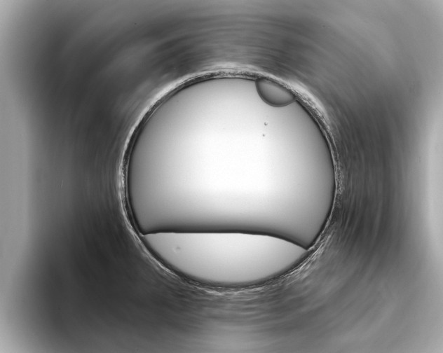 X0000094331287200711021124