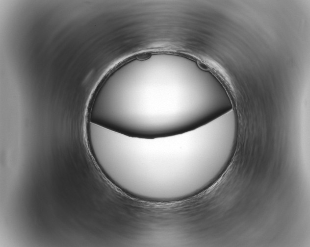 X0000094331288200711021124