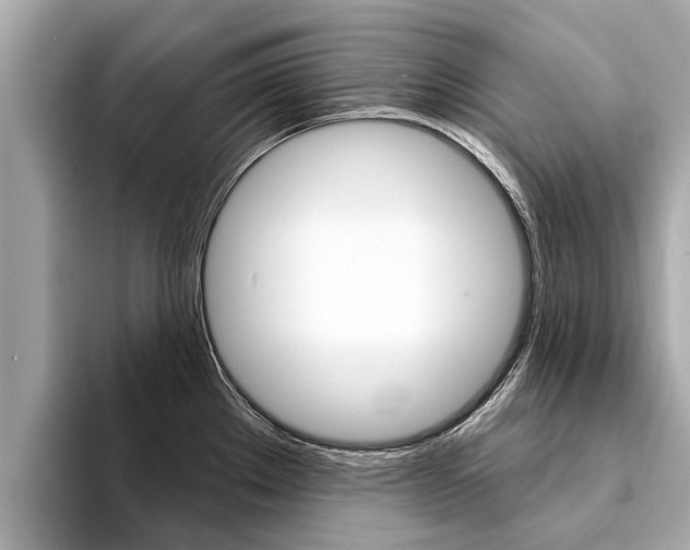 X0000094331289200711021124