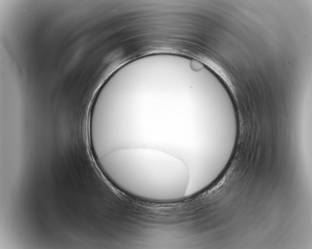 X0000094331290200711021124
