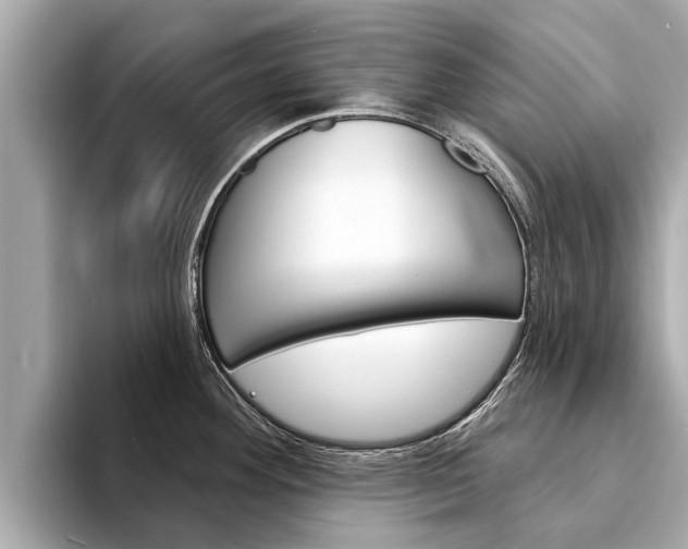 X0000094331292200711021124