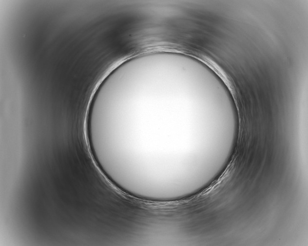 X0000094331293200711021124