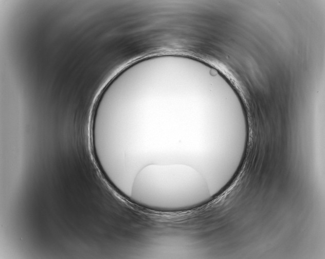 X0000094331294200711021124