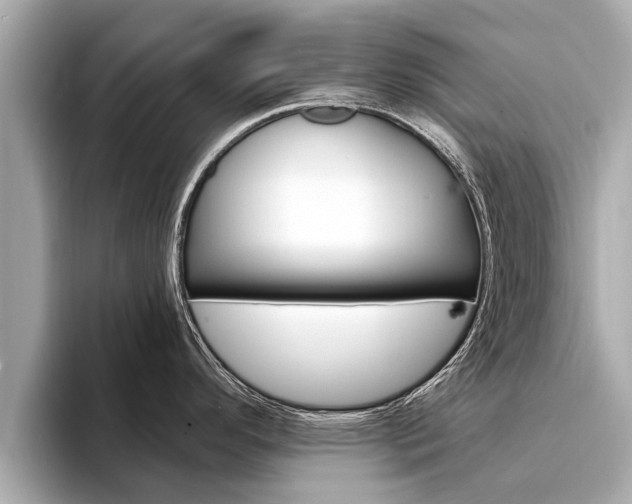 X0000094331296200711021124