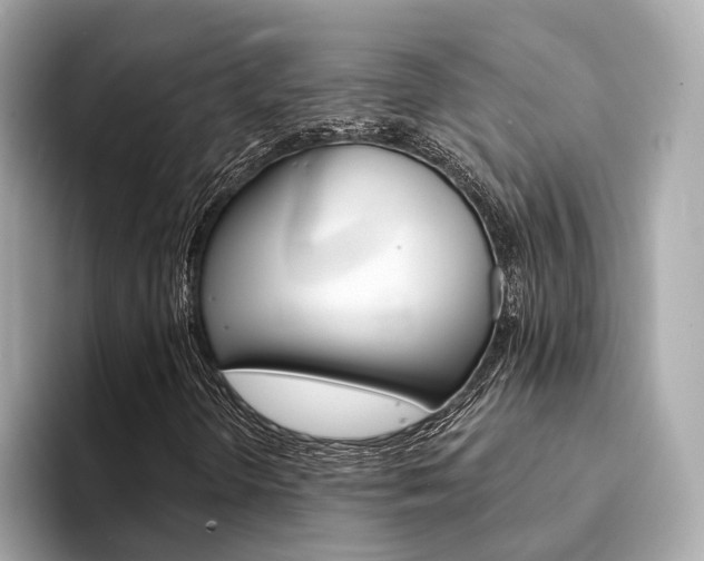 X0000094331298200711021124