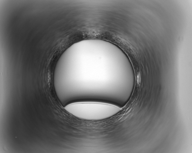 X0000094331299200711021124