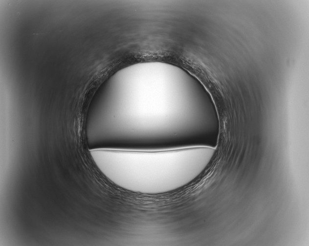 X0000094331300200711021124