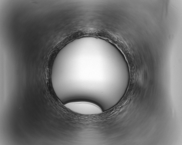 X0000094331301200711021124