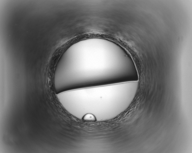 X0000094331303200711021124