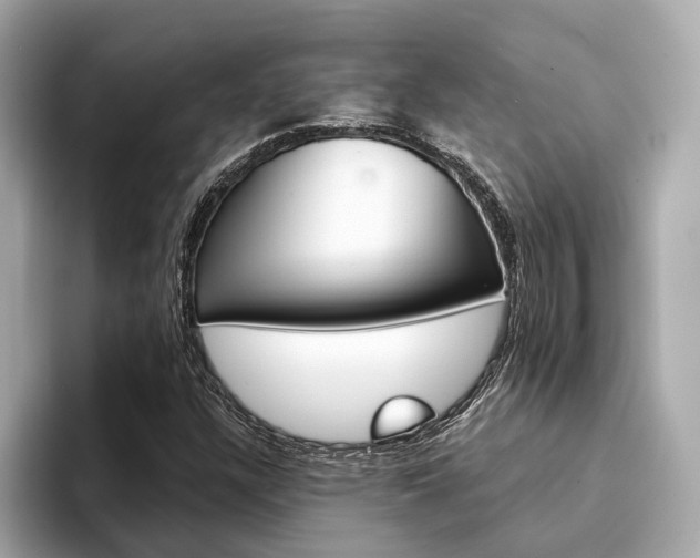 X0000094331304200711021124