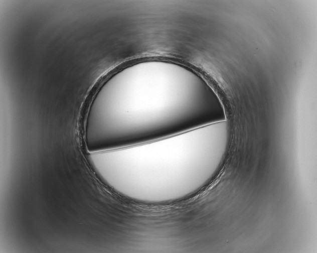 X0000094331308200711021124