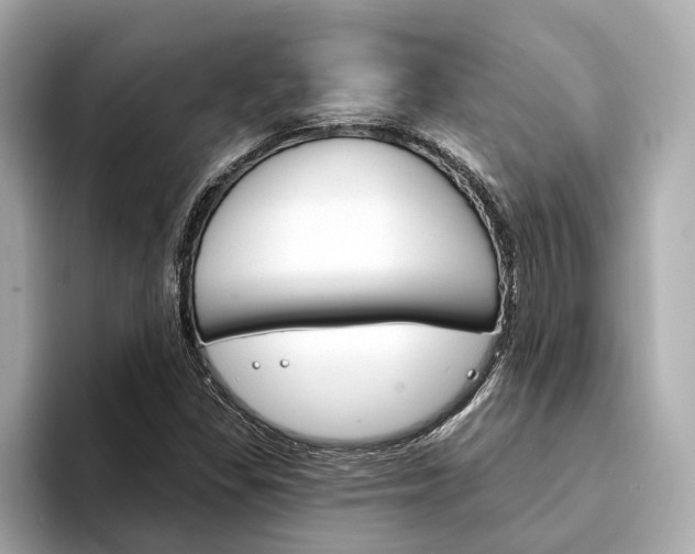 X0000094331309200711021124