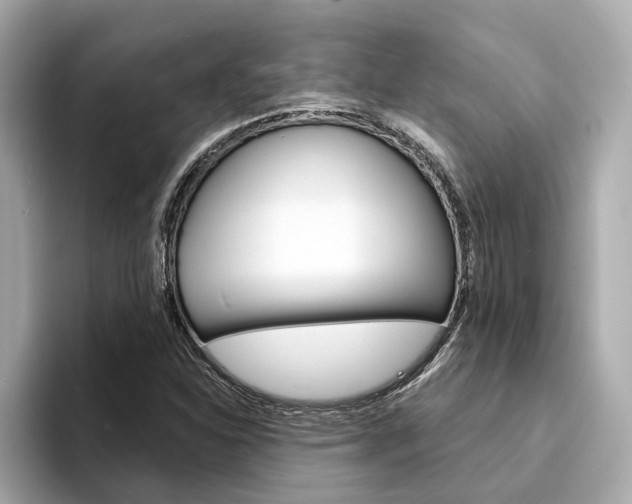 X0000094331310200711021124