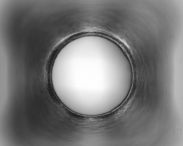 X0000094331311200711021124