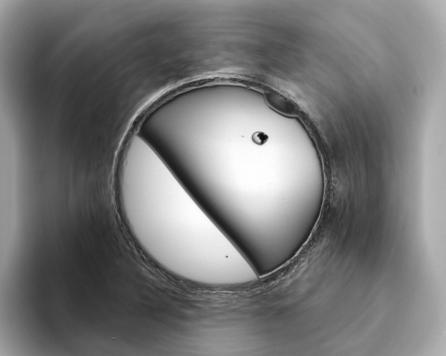 X0000094331316200711021124