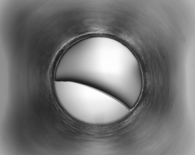 X0000094331318200711021124