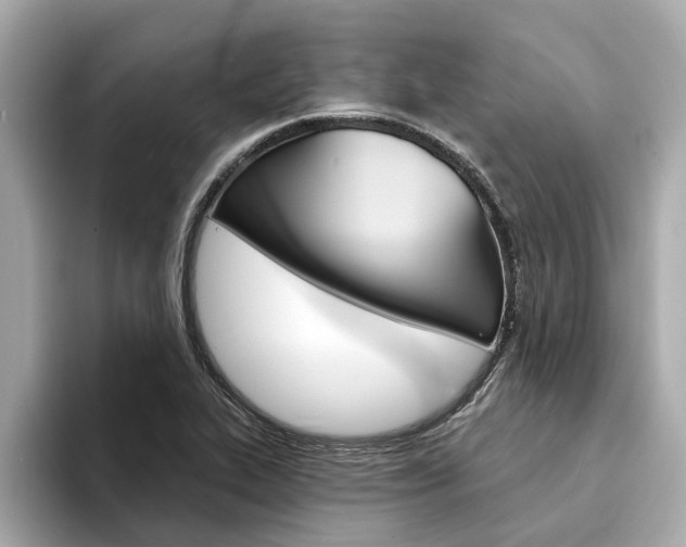 X0000094331319200711021124