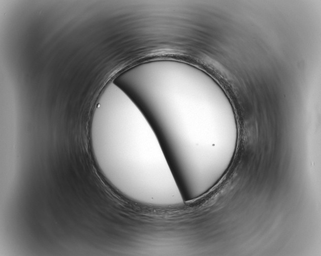 X0000094331321200711021124