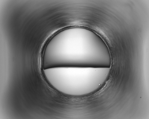 X0000094331323200711021124