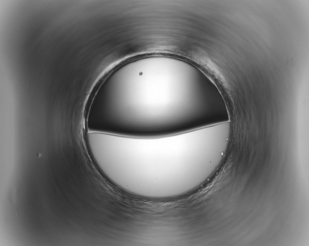 X0000094331324200711021124