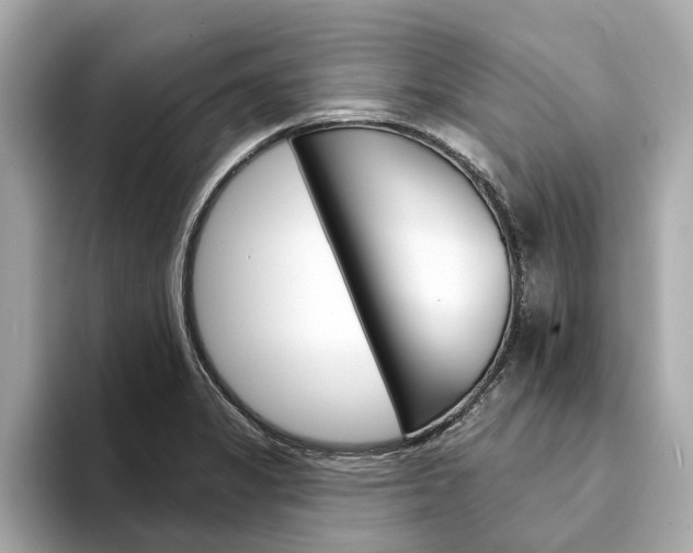 X0000094331325200711021124